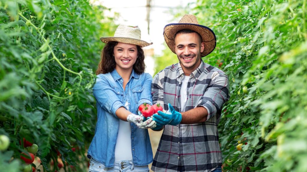 konsultan penyuluh pertanian